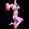 gogodance.ru-p-show-dance-and-circus-44
